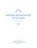 Cuestionario de anatomía cardiaca