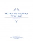 Cuestionario de anatomía cardiaca