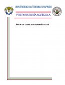 Perspectiva del gobierno en el objetivo de las ayudas al sector rural en la situación actual del país