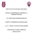CREDITO COBRANZA INTERNACIONAL