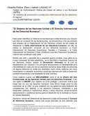 El sistema de promoción y protección internacional de los derechos humanos