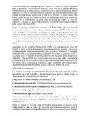 Contaminación Atmosférica