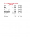 CALCULO DE IMPUESTOS ADUANERO Y COSTO DE IMPORTACION