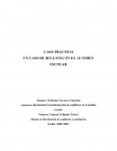 CASO PRÁCTICO UN CASO DE BULLYING EN EL AUTOBÚS ESCOLAR