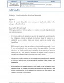 Principios de los derechos laborales