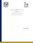 Práctica Difusion