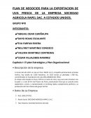 PLAN DE NEGOCIOS PARA LA EXPORTACION DE UVA FRESCA DE LA EMPRESA SOCIEDAD AGRICOLA RAPEL SAC. A ESTADOS UNIDOS
