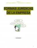 GESTIÓN ECONÓMICA Y FINANCIERA DE LA EMPRESA