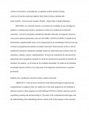 Ansys-CivilFEM y SAP 2000 en la modelación estructural