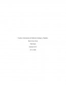Escalas e Instrumentos de Medición Análogos y Digitales