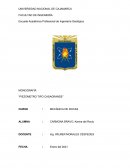 MONOGRAFÍA “PIEZOMETRO TIPO CASAGRANDE”