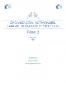 ORGANIZACIÓN. ACTIVIDADES, TAREAS, RECURSOS Y PROCESOS