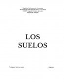 Los suelos