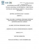 CULTURA Y CUIDADOS. POSTURAS TEÓRICAS QUE SUSTENTAN LA CONSTRUCCIÓN DE UNA ANTROPOLOGÍA DEL CUIDADO