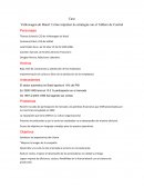 Volkswagen do Brasil: Cómo impulsar la estrategia con el Tablero de Control