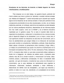 Enseñanza de las Nociones de Derecho en Media Superior de forma interdisciplinar y multidisciplinar