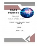 Neurodesarrollo de las funciones cognoscitivas