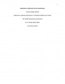 Importancia y aplicación de los mecanismos