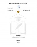 ANÁLISIS DE CASOS (ROGERS Y KELLY)