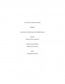 Cocina, colores y el mole