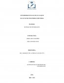 GOOGLE SE VA AL AGUA