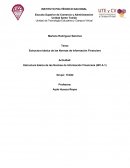 Estructura básica de las Normas de Información Financiera