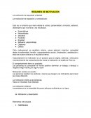 RESUMEN DE MOTIVACIÓN