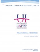 REPORTE DE TERAPIA DE PAREJA