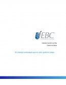 Actividad Diseño de marca. El champú anticaspa