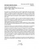 Sobre el estudio grafologico