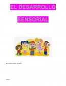 EL DESARROLLO SENSORIAL