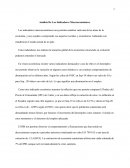 Análisis De Los Indicadores Macroeconómicos