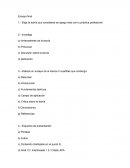 Ensayo Economico acerca de las estructuras gerenciales