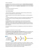 La evaluación del rendimiento