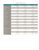 CUENTA DE RESULTADOS PRENVEST (A)