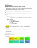 Patología del estómago