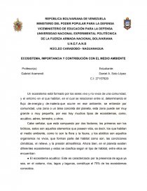 ECOSISTEMA, IMPORTANCIA Y CONTRIBUCIÓN CON EL MEDIO AMBIENTE. Página 1