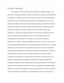 Investigación y argumentación
