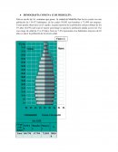 DEMOGRAFÍA COMUNA 13 DE MEDELLÍN