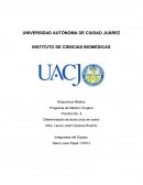 Practica No. 8 Determinación de ácido úrico en suero