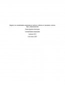 Registro de contabilidades especiales en activos y efectos en resultados: Activos, fijos y depreciaciones