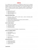 Fisiopatológica SHOCK