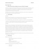 Tiger Tread CASO PRÁCTICO