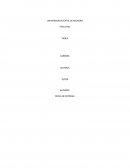 INVESTIGACION DE MERCADO PERFUMERIA BIBIS