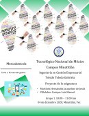 Proyecto de la asignatura MKT .Canal de distribución