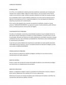 LADRILLOS ECOLOGICOS