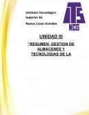 Resumen: Gestion de almacenes y tecnologias de la informacion y comunicación (TIC)