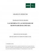 TRABAJO FIN DE GRADO LAS MINORIAS EN SOCIEDADES LIMITADAS