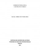 PROGRAMA DE NEGOCIOS INTERNACIONALES