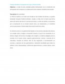 Trabajo individual. Presupuesto de caja La Villa de Castilla